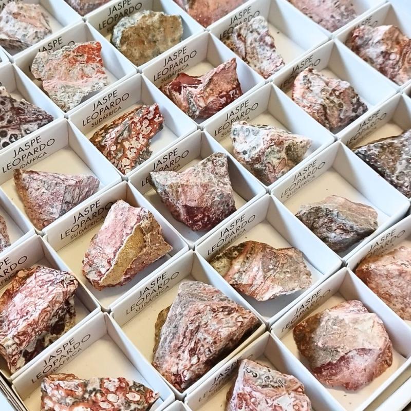 Jaspe Leopardo. Set 54 Un.