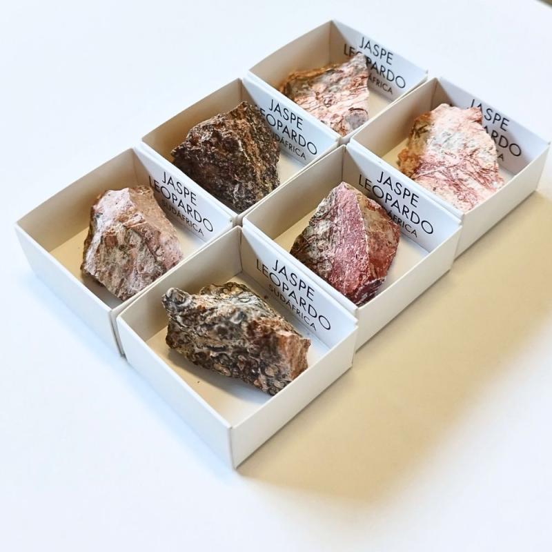 Jaspe Leopardo. Set 6 Un.