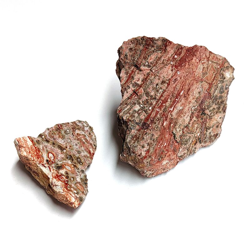 Leopard Skin Jasper. Price per Kg