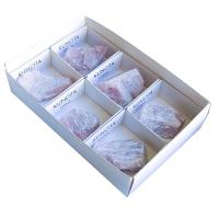 Kuncita. Precio 6 unidades