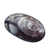 Lepidolite Chakra 5-6cm