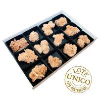 Lote Rosa del Desierto (Túnez). Lote 12 Un.