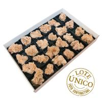 Lote Rosa del Desierto (Túnez). Lote 24 Un.