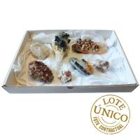 Assorted Tourmaline on Quartz. Set 7 Un.