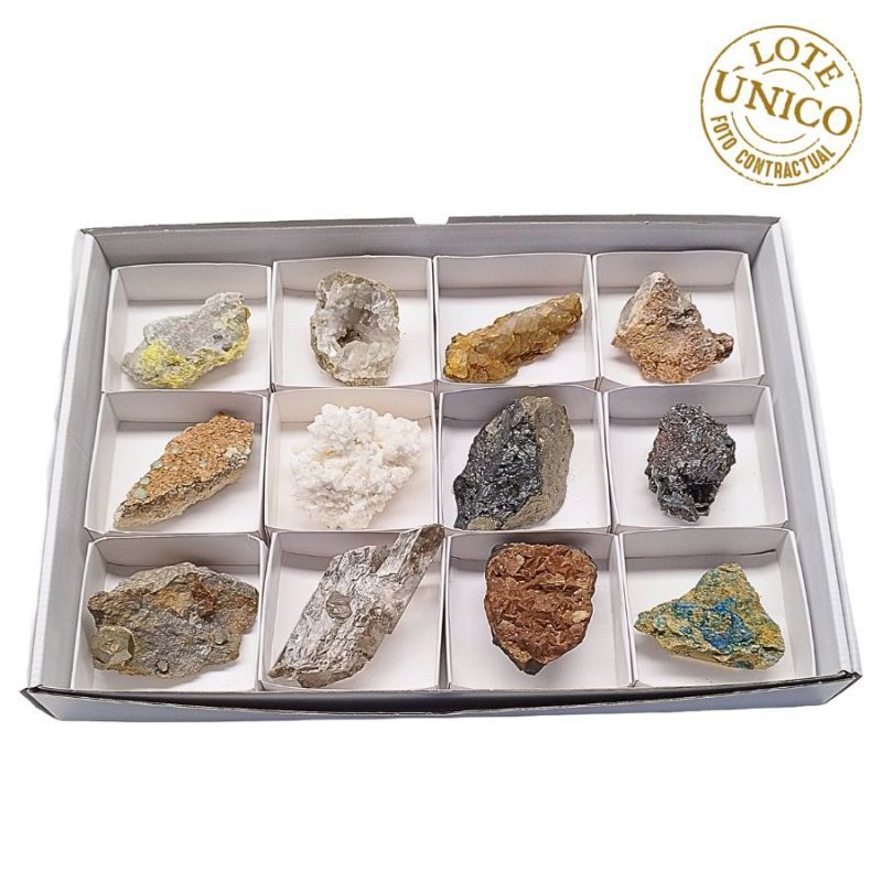 Assorted Box (12u)