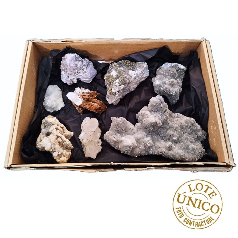 Assorted Box (8u)