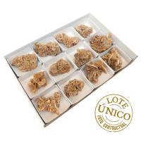 Lote Rosa del Desierto (Túnez). Lote 12 Un.