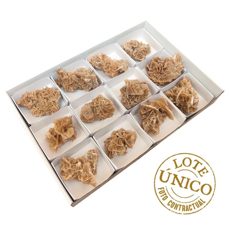 Lote Rosa del Desierto (Túnez). Lote 12 Un.