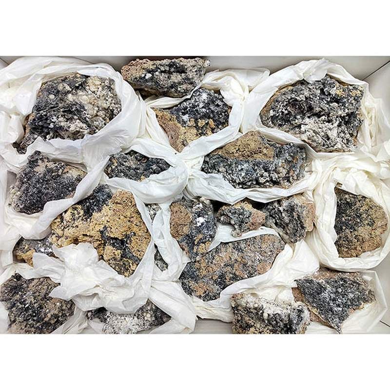 Lot of Oligisto lamellar.