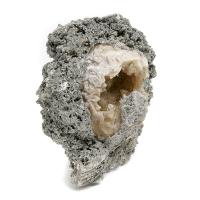 Mercenaria Permagna- Cristales de Calcita