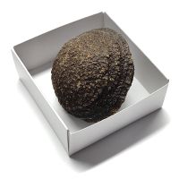 Piedra Moki (USA) 4-6cm aprox.