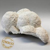 Mordenita (India). 900grs