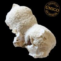 Mordenite (Inde). 280grs