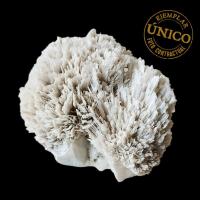 Mordenite (Inde). 420grs