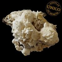 Mordenita (India). 440grs