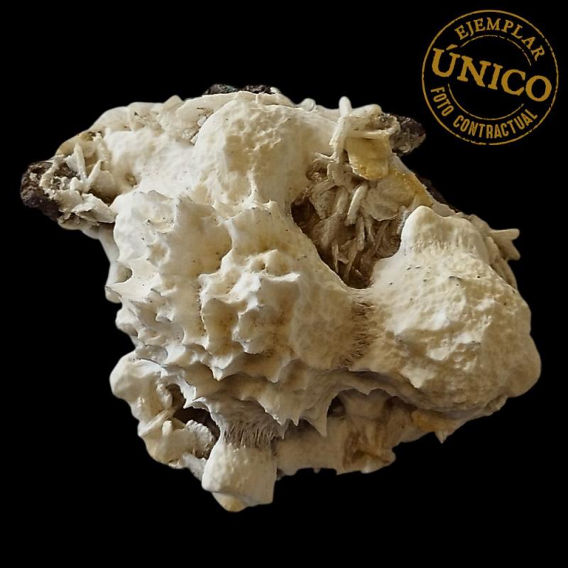 Mordenite (Inde). 440grs