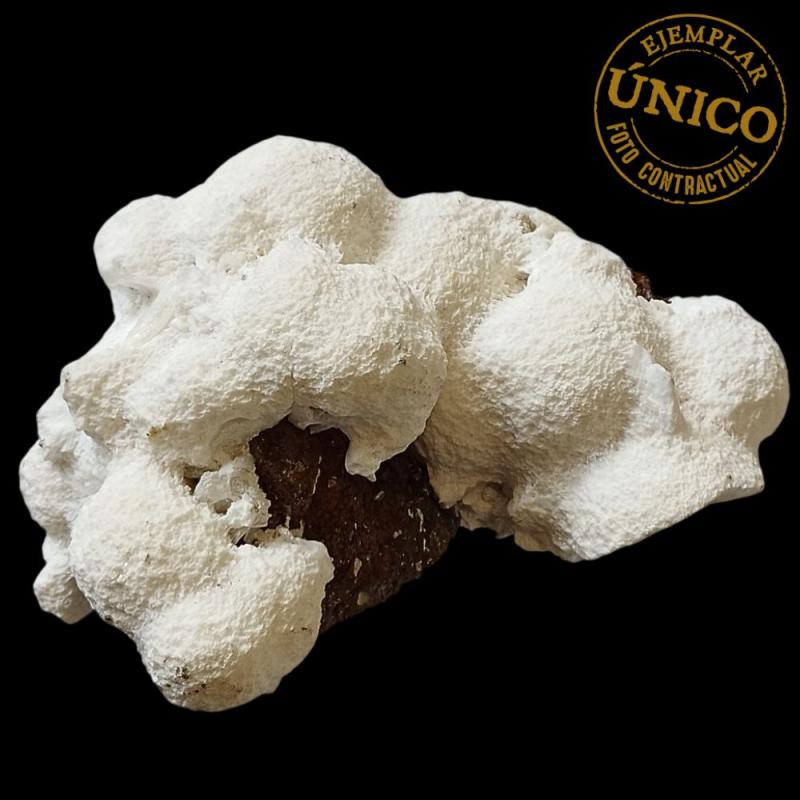 Mordenite (Inde). 1,3kg