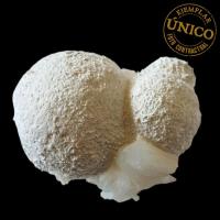 Mordenita (India). 460grs