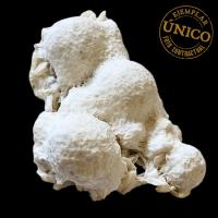 Mordenite (Inde). 260grs