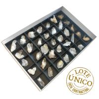 Lote Drusas Cristal de Roca (Brasil). Lote 35 Un.