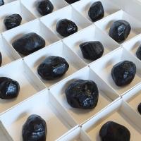 Obsidiana Lágrima de Apache. Set 24 Un.