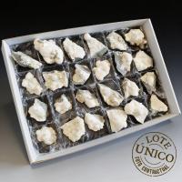 Okenita. Lote 24 Un.