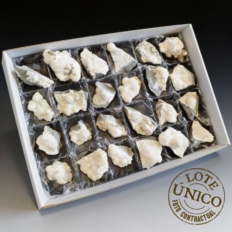 Okenita. Lote 24 Un.