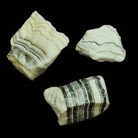Onix Cebra pequeño. Precio por Kg