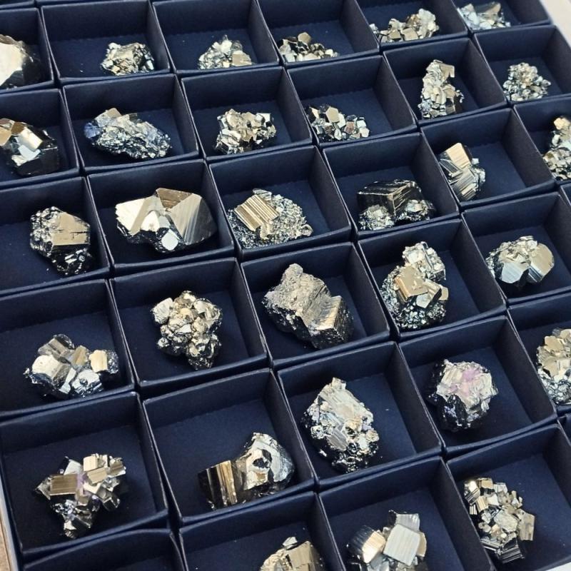 Lot Pyrite "Cocada" (Pérou) 54u.