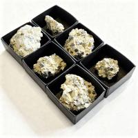 Cristales de Pirita sobre Matriz. Set 6 unidades