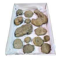Marcasita Botroidal. Lote 6,9kg (13un)