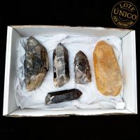 Pointes de Quartz Fumé (Mozambique). Lot 5 Un.