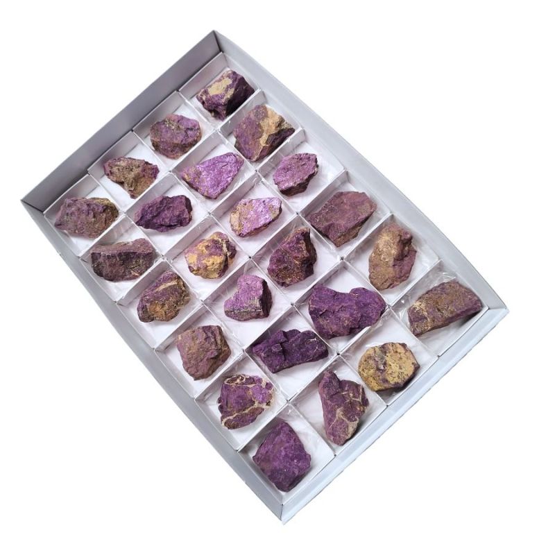 Purpurite Lot (24u.)