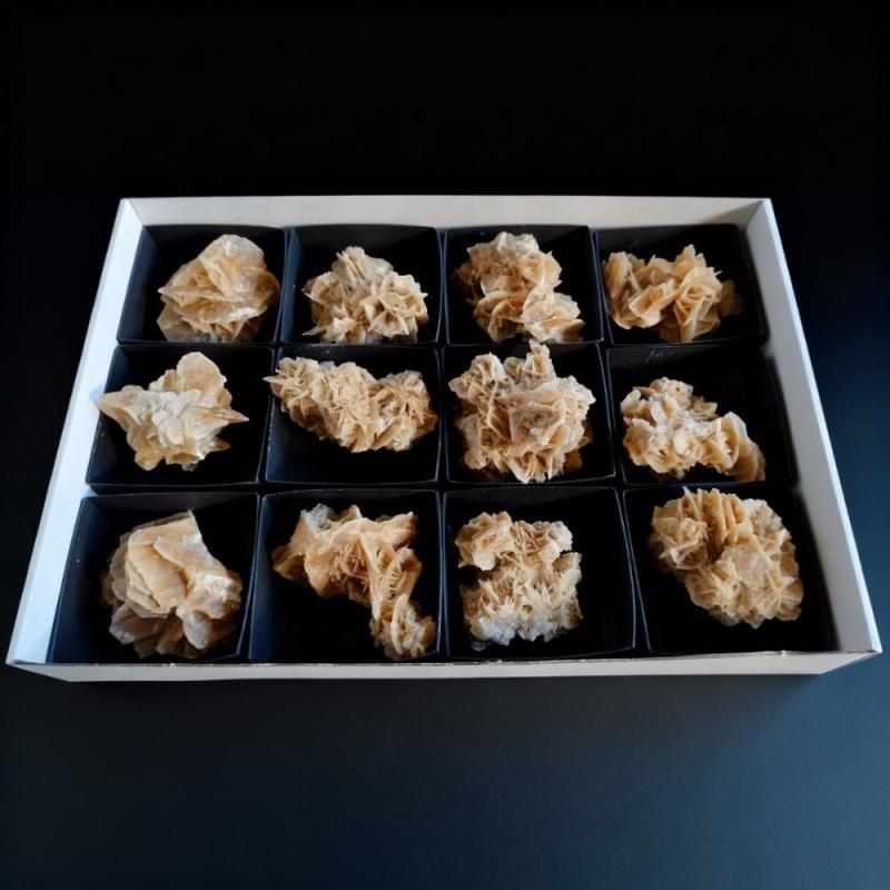 Lote Rosa del Desierto (Túnez) (12un)