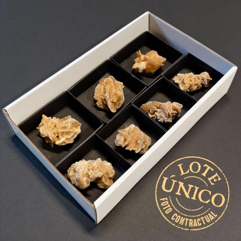 Rosa del Desierto (Túnez). Lote 7 Un.