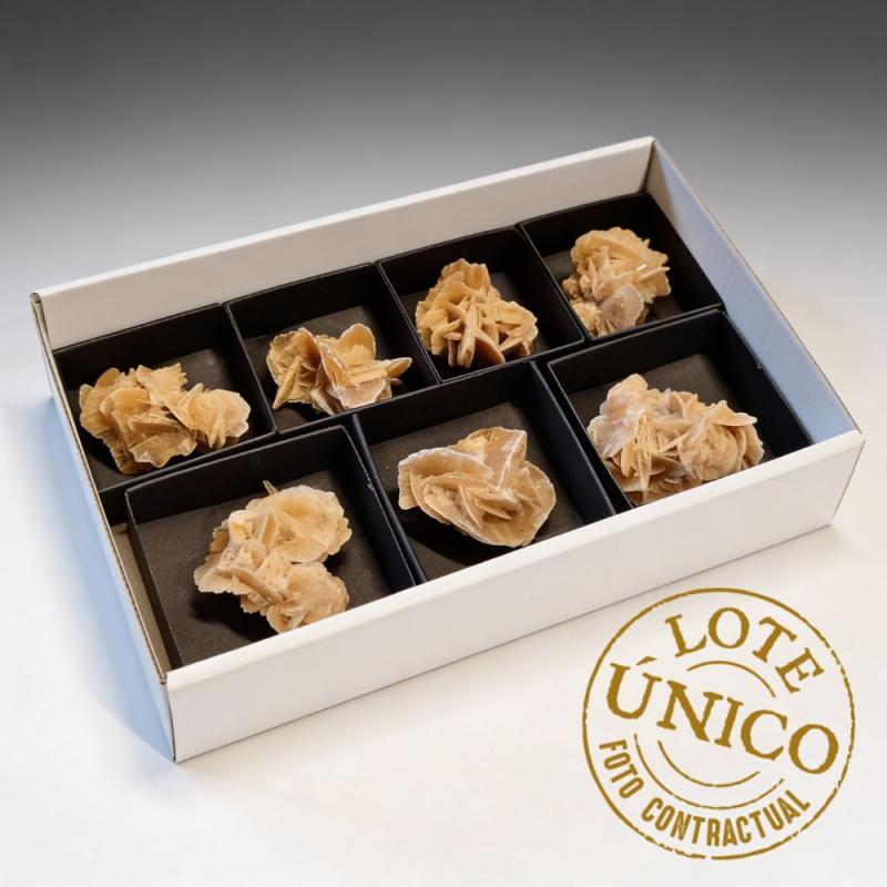 Desert Rose (Tunisia). Set 7 Un.