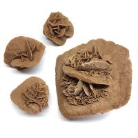 Rosa del Desierto de Argelia. Precio por Kg