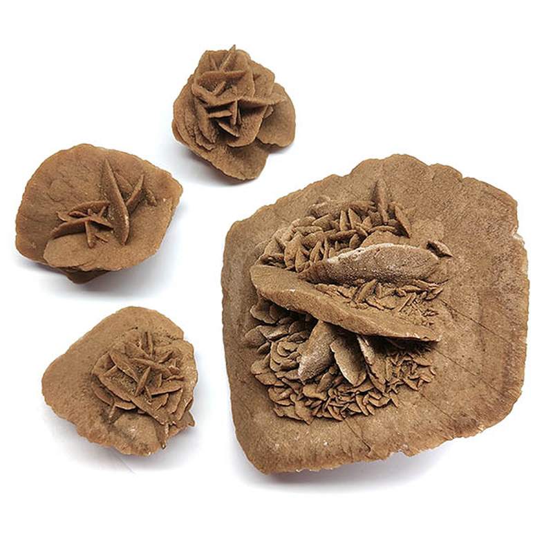 Rosa del Desierto de Argelia. Precio por Kg