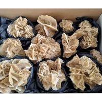 Desert Rose Set (Tunisia) (11un)