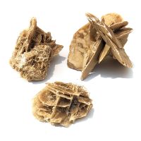Rosa del Desierto de Túnez. Precio por kg