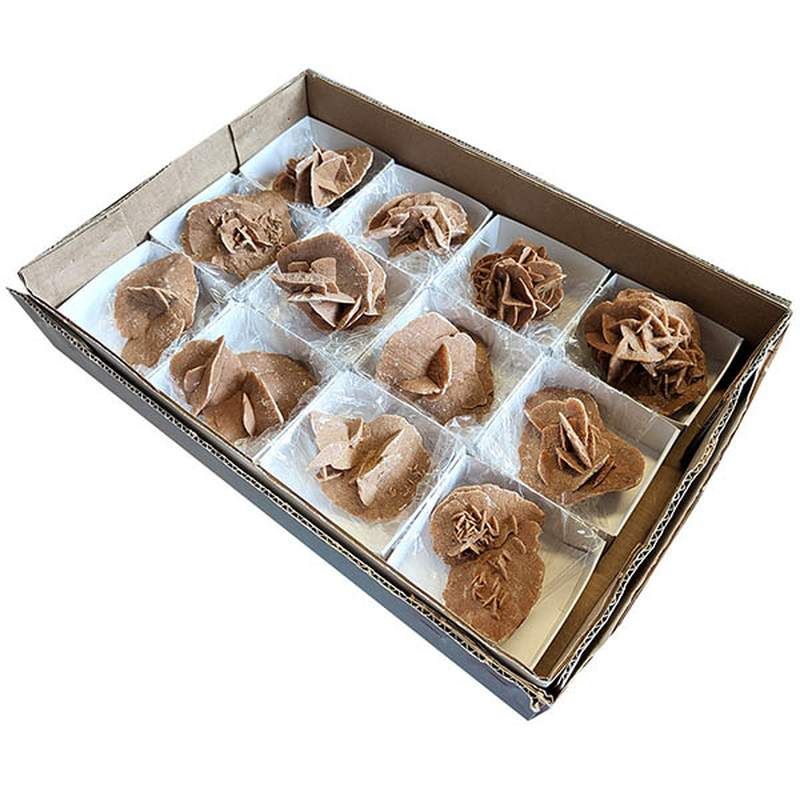 Desert Rose (Algeria) Set 12u.