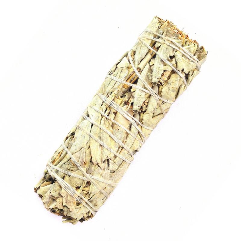 Sauge 10cm (Prix par unité)