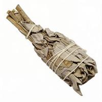 Salvia 12cm (Set 10un.)