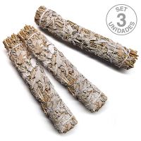 Salvia 22cm. Set 3un