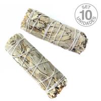 Salvia 10cm. Precio set 10un