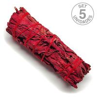 Salvia Sangre de Drago 10cm (set 5un)