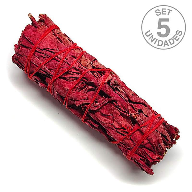 Sauge Sang de Dragonnier 10cm (set 5un)