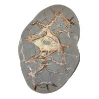 Septaria Placa (10-12cm)