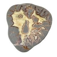 Septaria Placa (12-15cm)