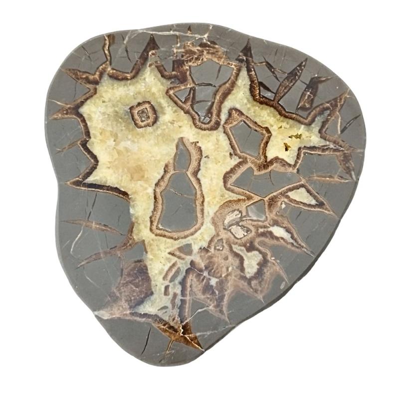 Septaria Placa (12-15cm)